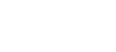 Niche Solutions logo